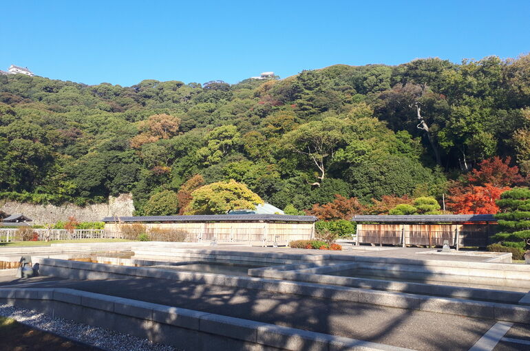 20201111_145602